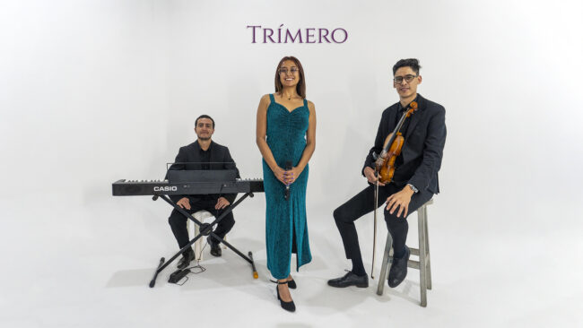 Musicos bodas matrimonios bogota